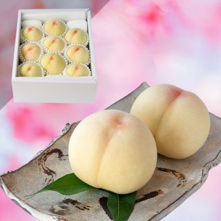 【超特級】清水白桃 9〜10玉 約3キロ