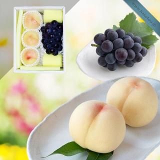 õ۵ͤ碌 3 (0.8kg) ԥ 1˼ (0.55kg)