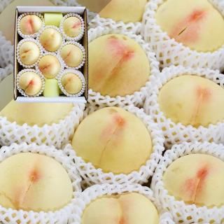 たまねぎ屋みーちゃん　岡山　清水白桃　家庭用4キロ箱いっぱい 2025 岡山 白桃 家庭用 中玉 4〜6玉入り 約1.2kg エース等級 桃