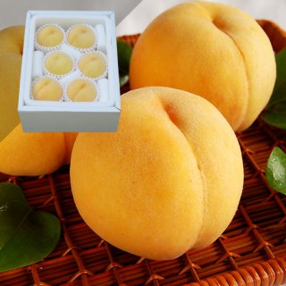 黄金桃 6〜8玉 約2キロ