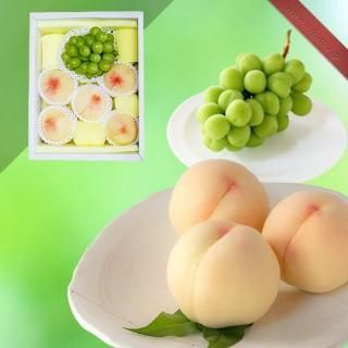 Ķõ۵ͤ碌 5 (1.65kg) 㥤ޥå 1˼ (0.65kg)