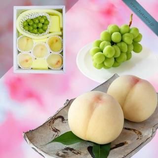 Ķõ۵ͤ碌 5 (1.65kg) 㥤ޥå 1˼ (0.65kg)