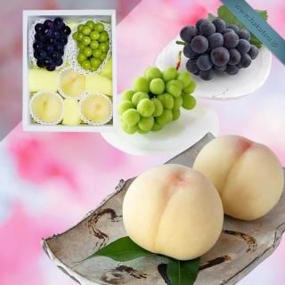 Ķõ۵ͤ碌 3 (1kg) 㥤ޥå 1˼ (0.65kg) ԥ 1˼ (0.65kg)