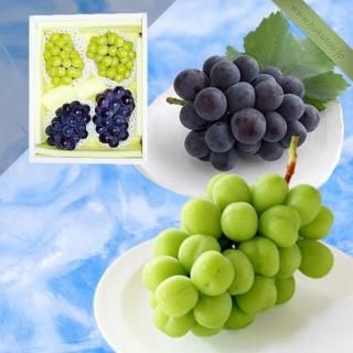 Ķõ۵ͤ碌㥤ޥå 2˼ (1.3kg) ԥ 2˼ (1.3kg)