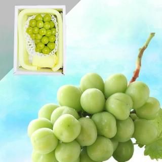 ϪϺݡۥ㥤ޥå 1˼ 0.55