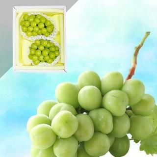 ϪϺݡۥ㥤ޥå 2˼ 1.1