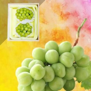 Ķۥ㥤ޥå  2˼ 1.3(Ȣ)