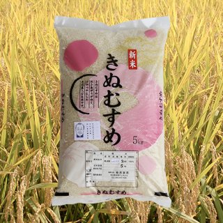 【新米：令和5年産】岡山県産 きぬむすめ 5kg（精米 / 自家栽培）