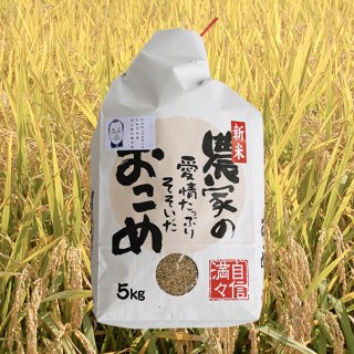 <自家栽培> 岡山県産 きぬむすめ 5kg（玄米）