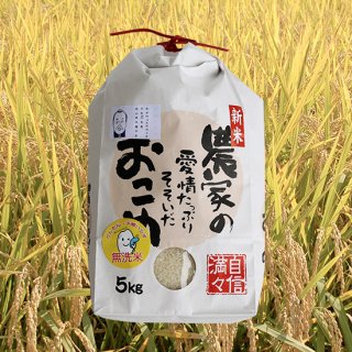 【新米：令和5年産】岡山県産 きぬむすめ 5kg（無洗米 / 自家栽培）