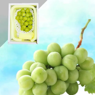 【露地栽培】シャインマスカット 1房 約0.65キロ