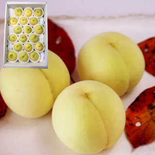 【訳あり品/超小玉】冬桃がたり 約2.5kg