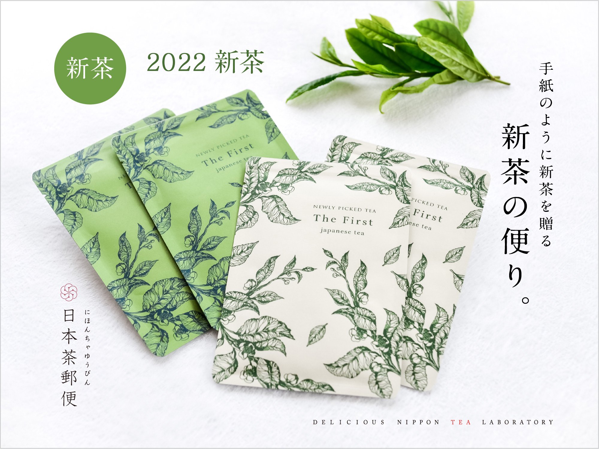 【日本茶郵便】手紙のように新茶を贈る「新茶の便り」｜おいしい日本茶研究所