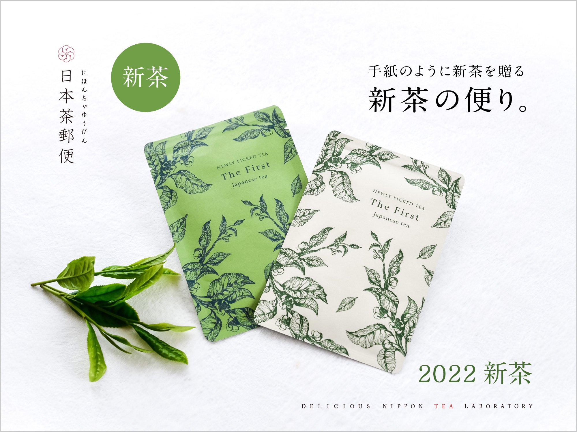 【日本茶郵便】手紙のように新茶を贈る「新茶の便り」｜おいしい日本茶研究所