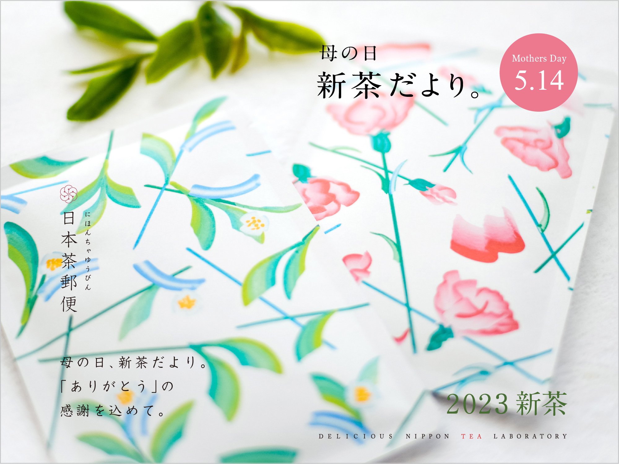 新茶2023「母の日」贈答ギフトBOX｜おいしい日本茶研究所