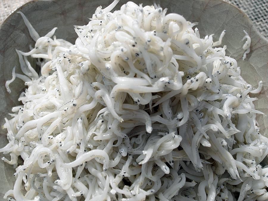 しらす和歌山本脇・紀州釜あげしらす老舗 中善商店