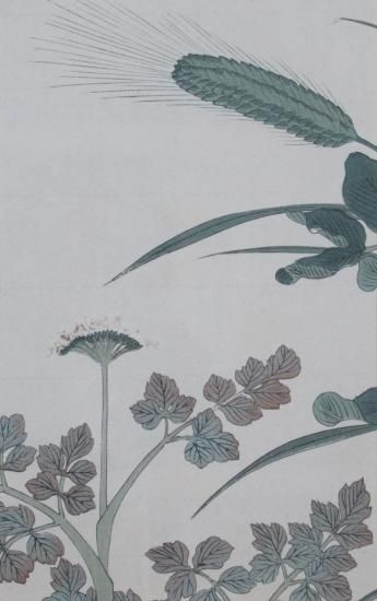 木版画「アオムギ、セリ」(額装込) - sur-murs Art 木版画「アオムギ、セリ」(額装込) - sur-murs Art