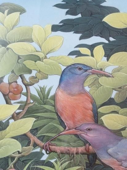 バリ絵画(額装代込) - sur-murs Art バリ絵画(額装代込) - sur-murs Art