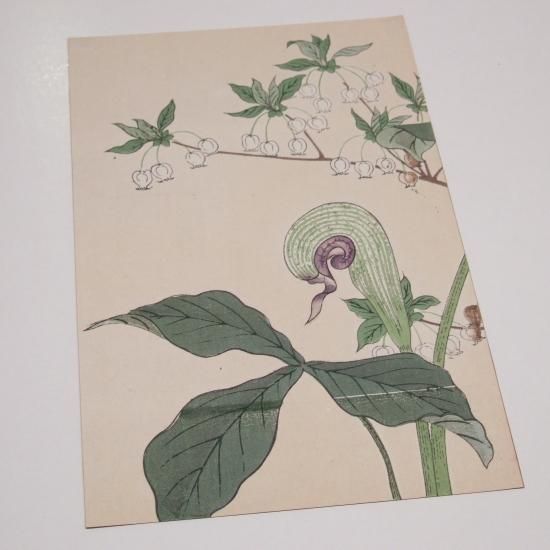 葛飾北斎 龍 復刻版 木版画 浮世絵 Katsushika Hokusai Ukiyoe