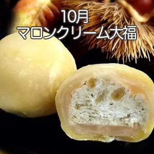 <img class='new_mark_img1' src='https://img.shop-pro.jp/img/new/icons33.gif' style='border:none;display:inline;margin:0px;padding:0px;width:auto;' />طؤΥ꡼ʡ 6 ¢