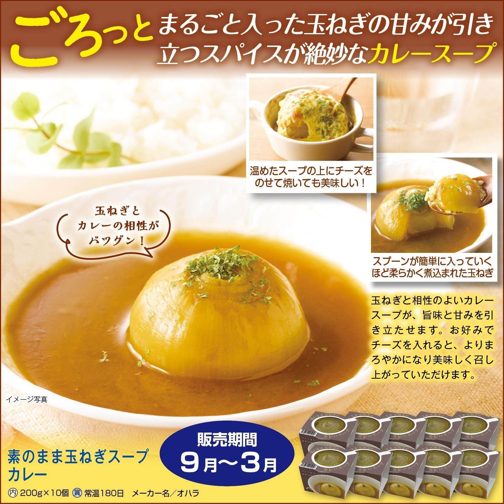 素のまま玉ねぎスープ カレー200g×10個