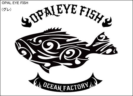 TRIBAL FINS եåT / ȥ饤Хǡ͵򥹥å˥ǥ15फ٤!