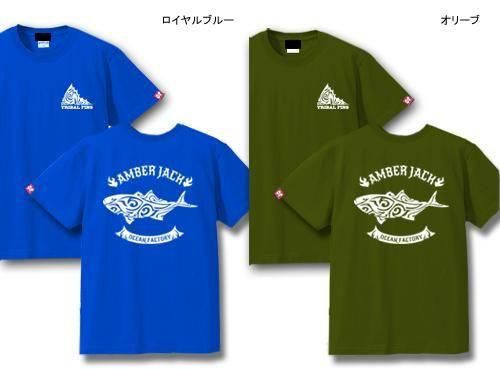 TRIBAL FINS եåT / ȥ饤Хǡ͵򥹥å˥ǥ15फ٤!