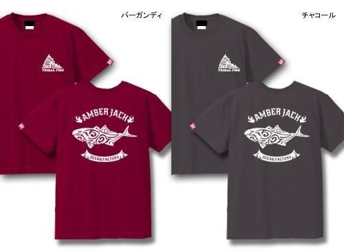 TRIBAL FINS եåT / ȥ饤Хǡ͵򥹥å˥ǥ15फ٤!