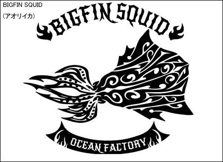 TRIBAL FINS եå󥰥ݥ / ȥ饤Хǡ͵򥹥å˥ǥ15फ٤!