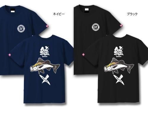  X-ANGLERS GR  եåT / ɮʸХե䡼ѥȤ߹碌åǥ