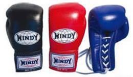 WINDY(ウィンディ)】BGLボクシンググローブ - 株式会社グンスポ WINDY(ウィンディ)】BGLボクシンググローブ - 株式会社グンスポ