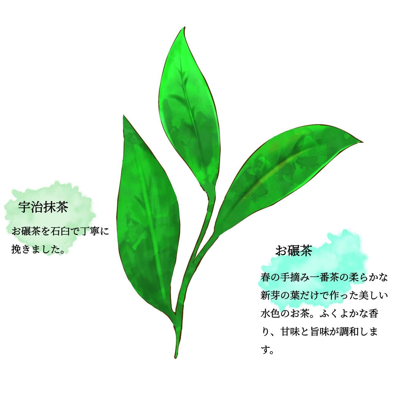 お碾茶と宇治抹茶