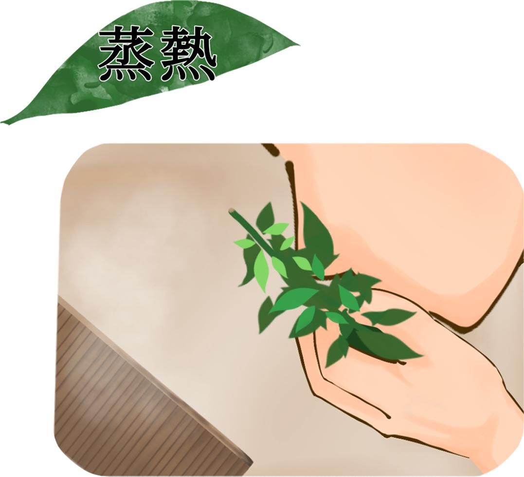 蒸熱