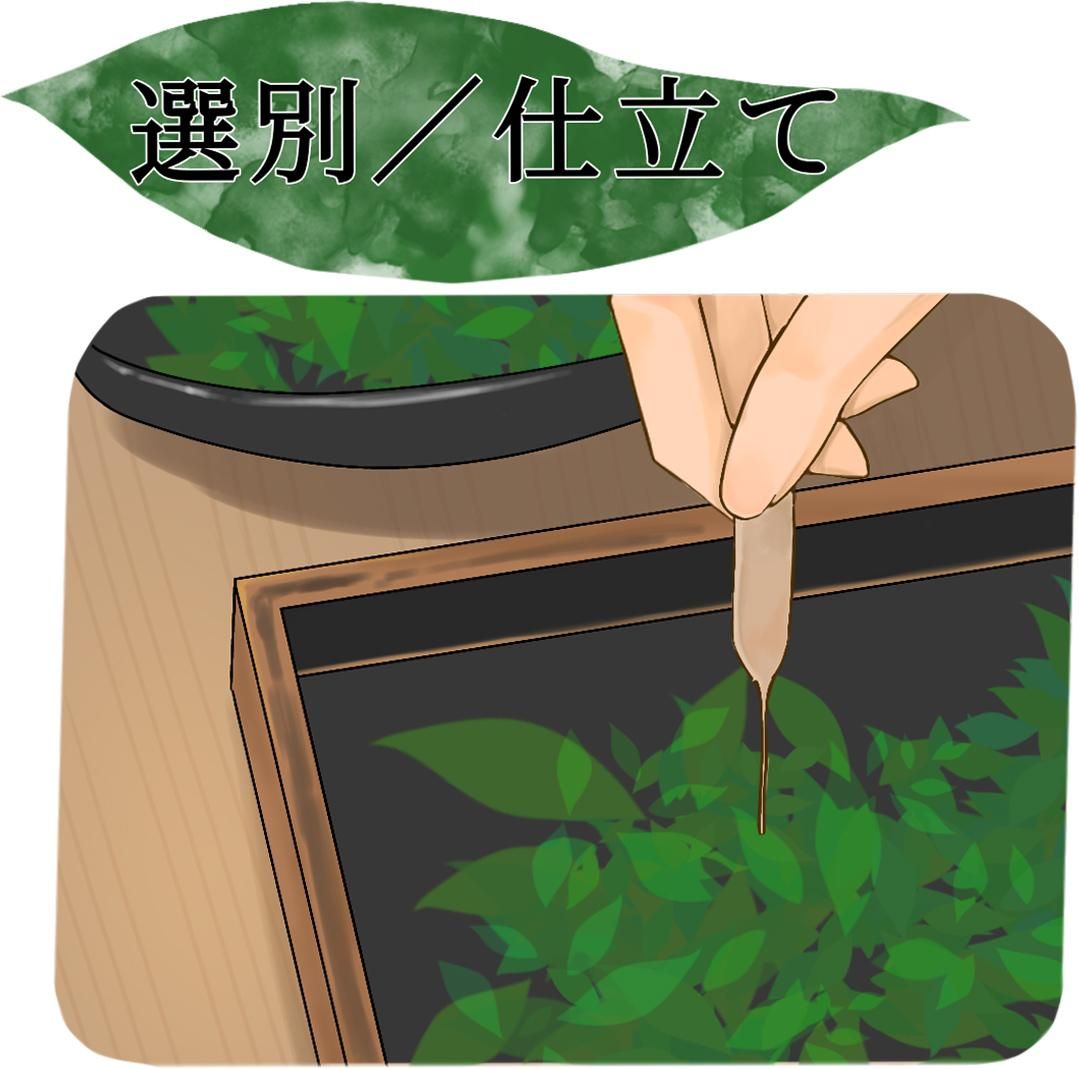 選別