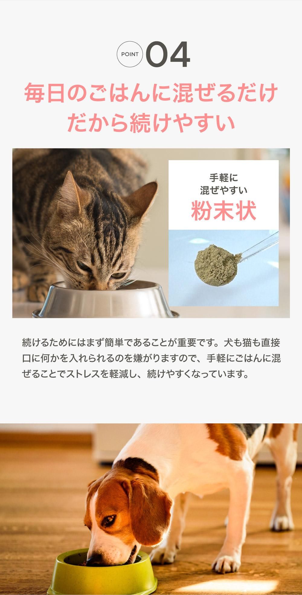 限定価格】犬猫イヌトウキ『JINパワー100』｜わん子ん家ひまカフェ