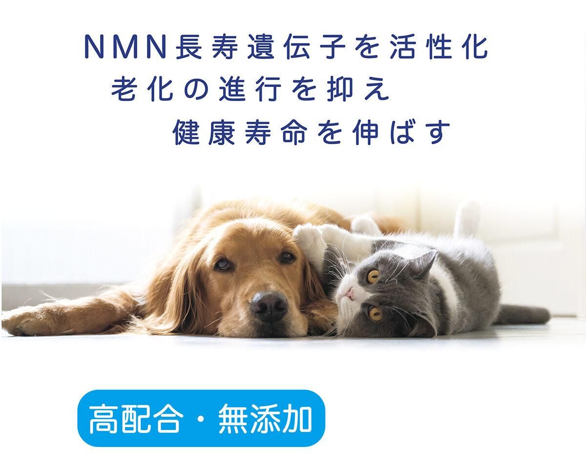 NMNわんにゃんサプリ 赤字‼︎お得な2袋セット