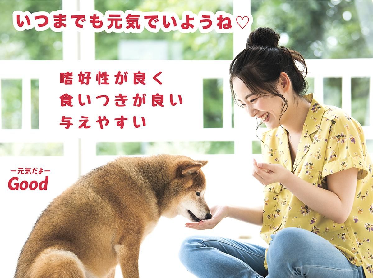 無料発送 NMNわんにゃんサプリGood ／モアリッチ｜わんこん家ひまカフェ フード・おやつ