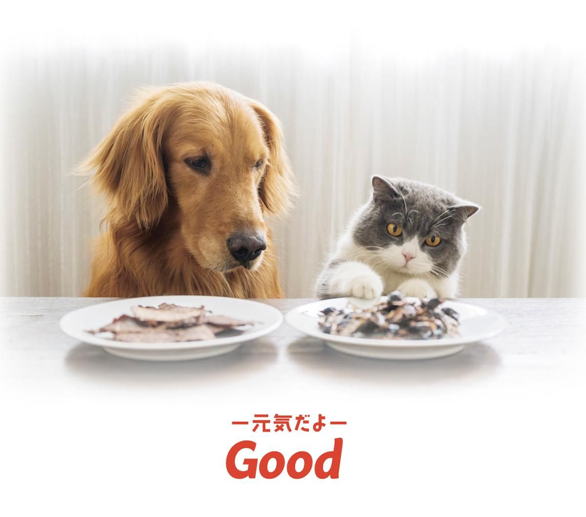NMNわんにゃんサプリGood ／モアリッチ｜わんこん家ひまカフェ