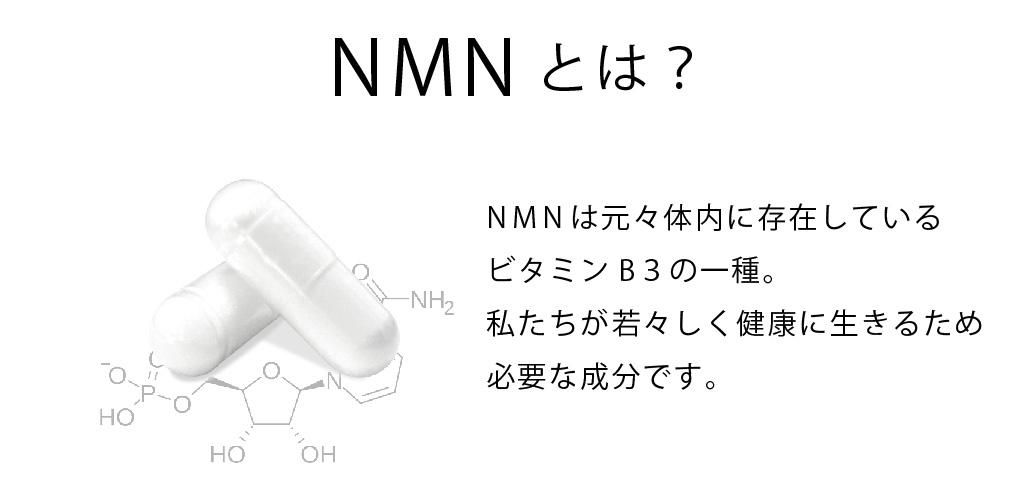 NMNサプリ ミライ 人用 ／モアリッチ｜わんこん家ひまカフェ