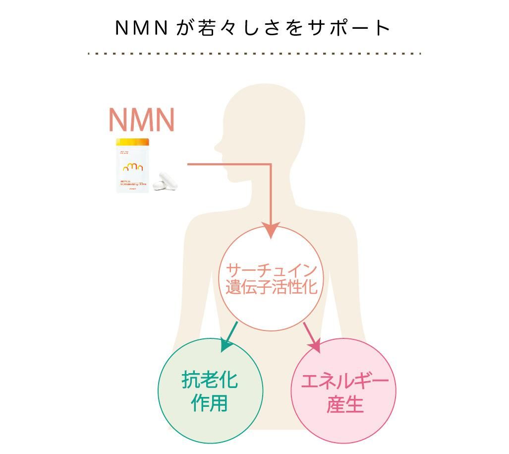 NMNサプリ ミライ 人用 ／モアリッチ｜わんこん家ひまカフェ