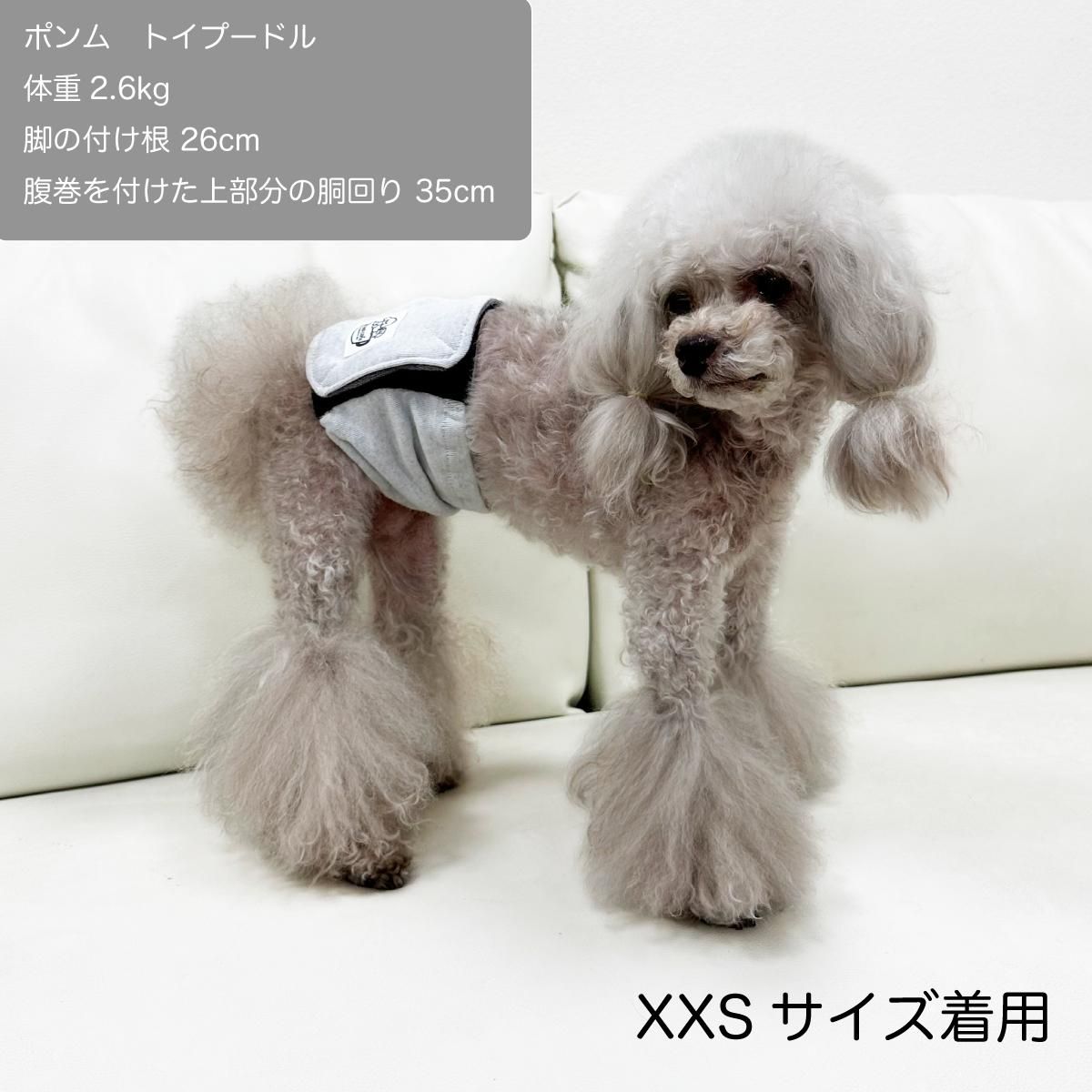 ʢݥXXS