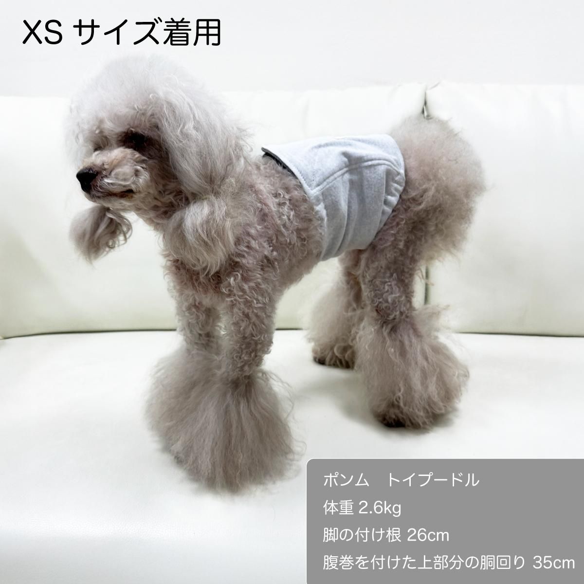 ʢݥXS