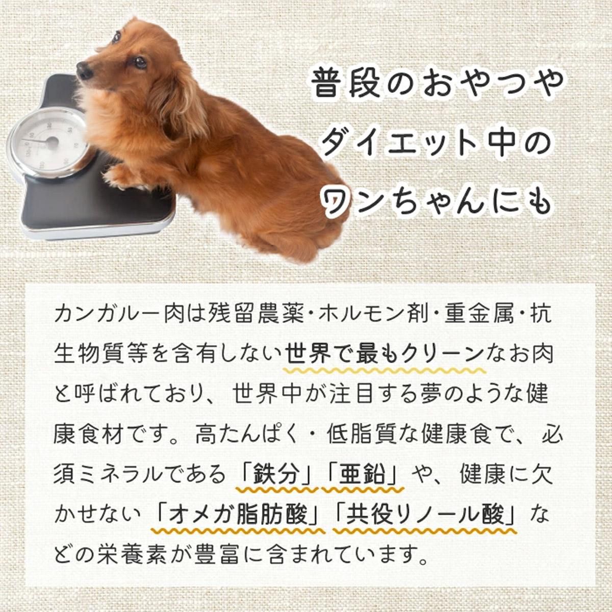 å󥬥롼ڣ 