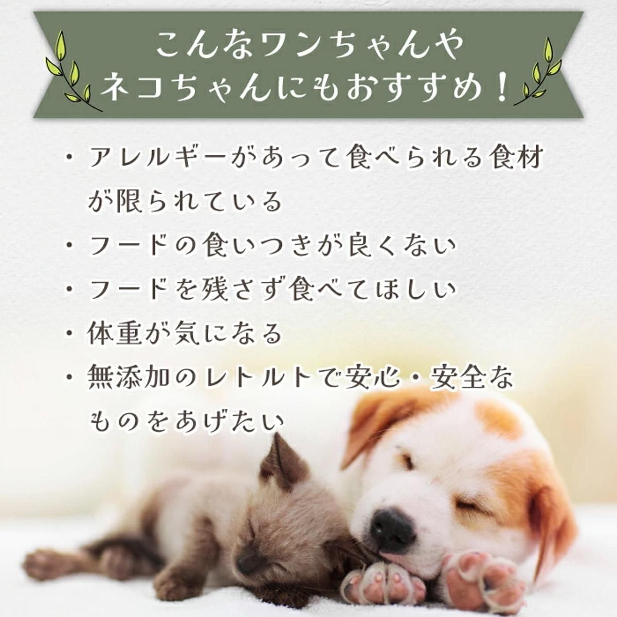 å󥬥롼 