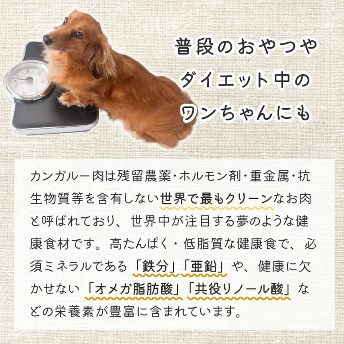 å󥬥롼 