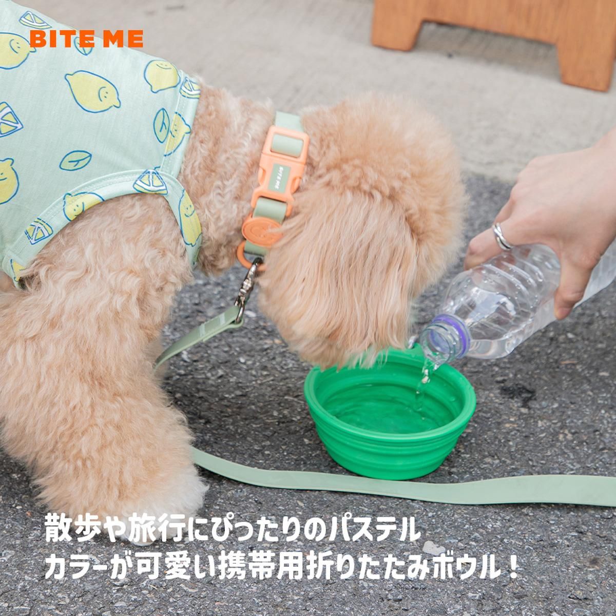 シリコンボウル 