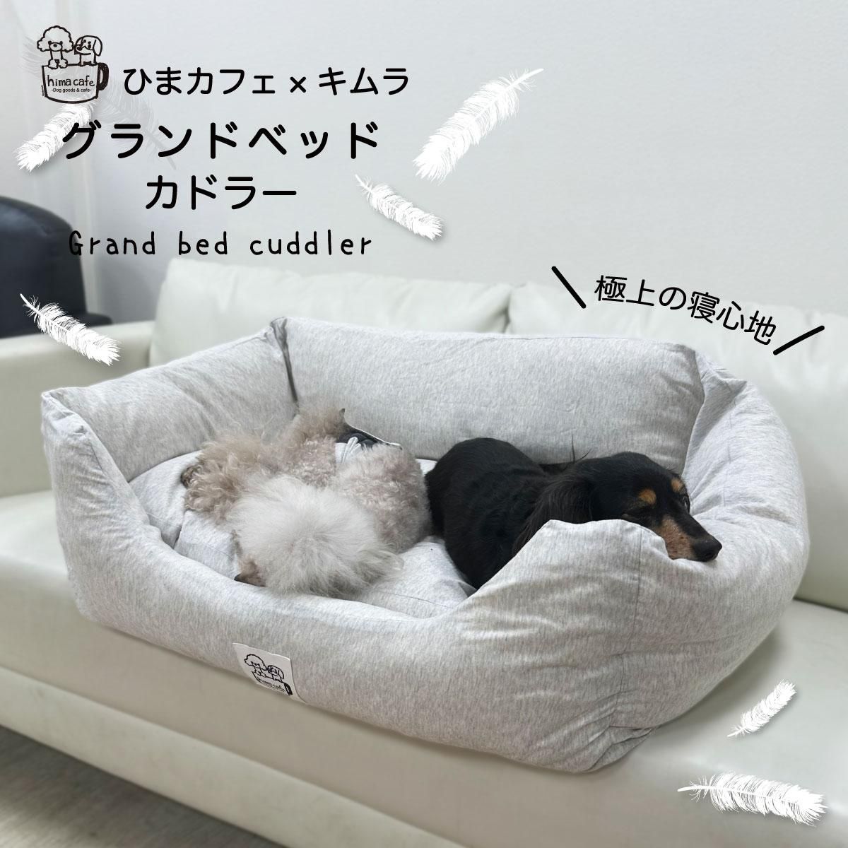 ɥ顼 