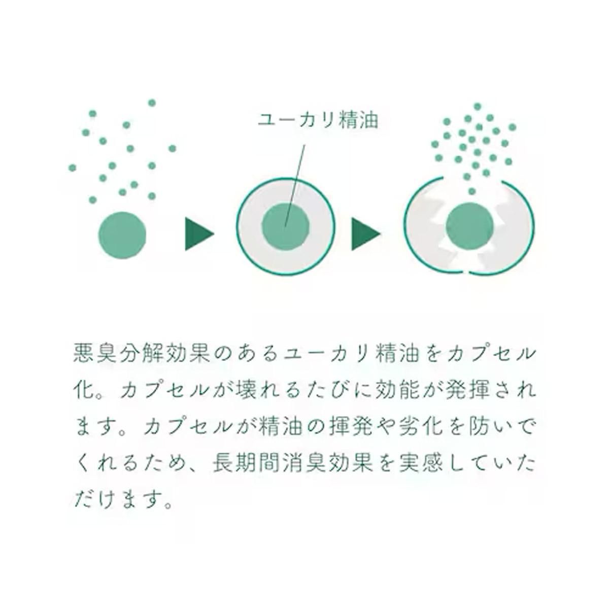 ǥɥޥ2 