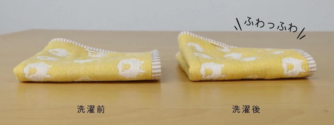 ϥ󥫥 