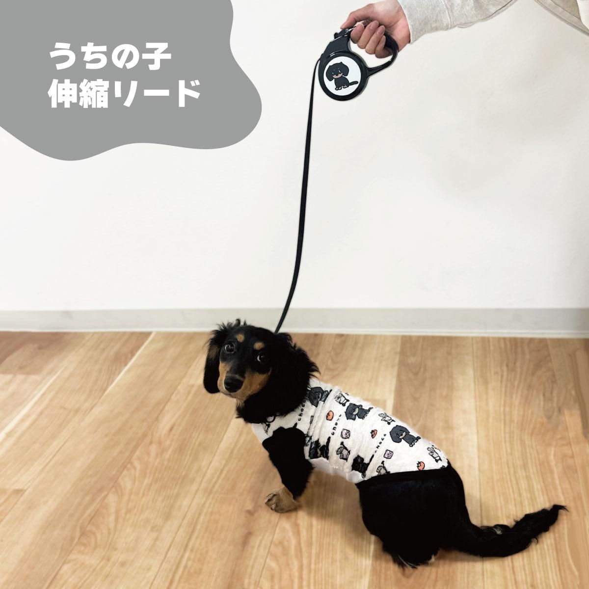 ̥꡼